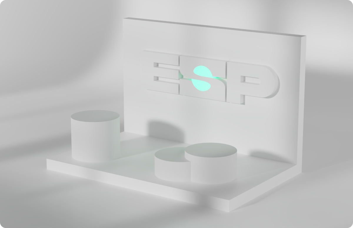 ESP identity from the original project presentation